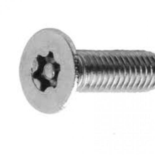 DELIGO BPT M3.5X50MM SECURITY SCREW PIN TORX 100PK
