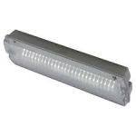 ANSELL AGLED/3M 3W EMERGENCY LED BULKHEAD DUAL FUNCTION